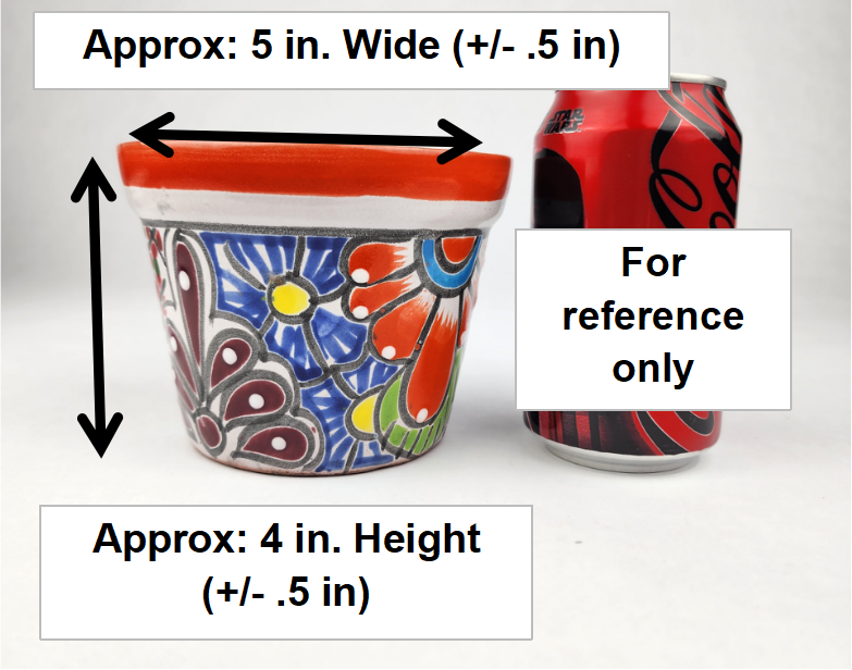 Decorative pot with dimensions labeled next to a can for reference
