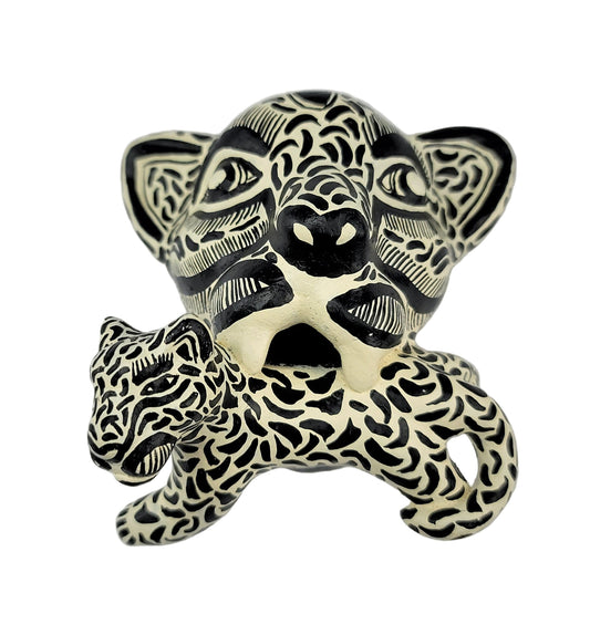 Jaguar Head Hand Painted On a White Background