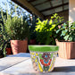 A hand-painted ceramic planter pot with a green rim and a colorful floral pattern, sitting on a wooden table in a sunny garden patio setting.