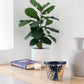 Blue Rim Talavera Ceramic Planter 7" | Indoor & Patio Décor