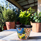 A colorful hand-painted ceramic planter pot with a black rim sits on a wooden table on a sunny patio, with potted plants in the background.