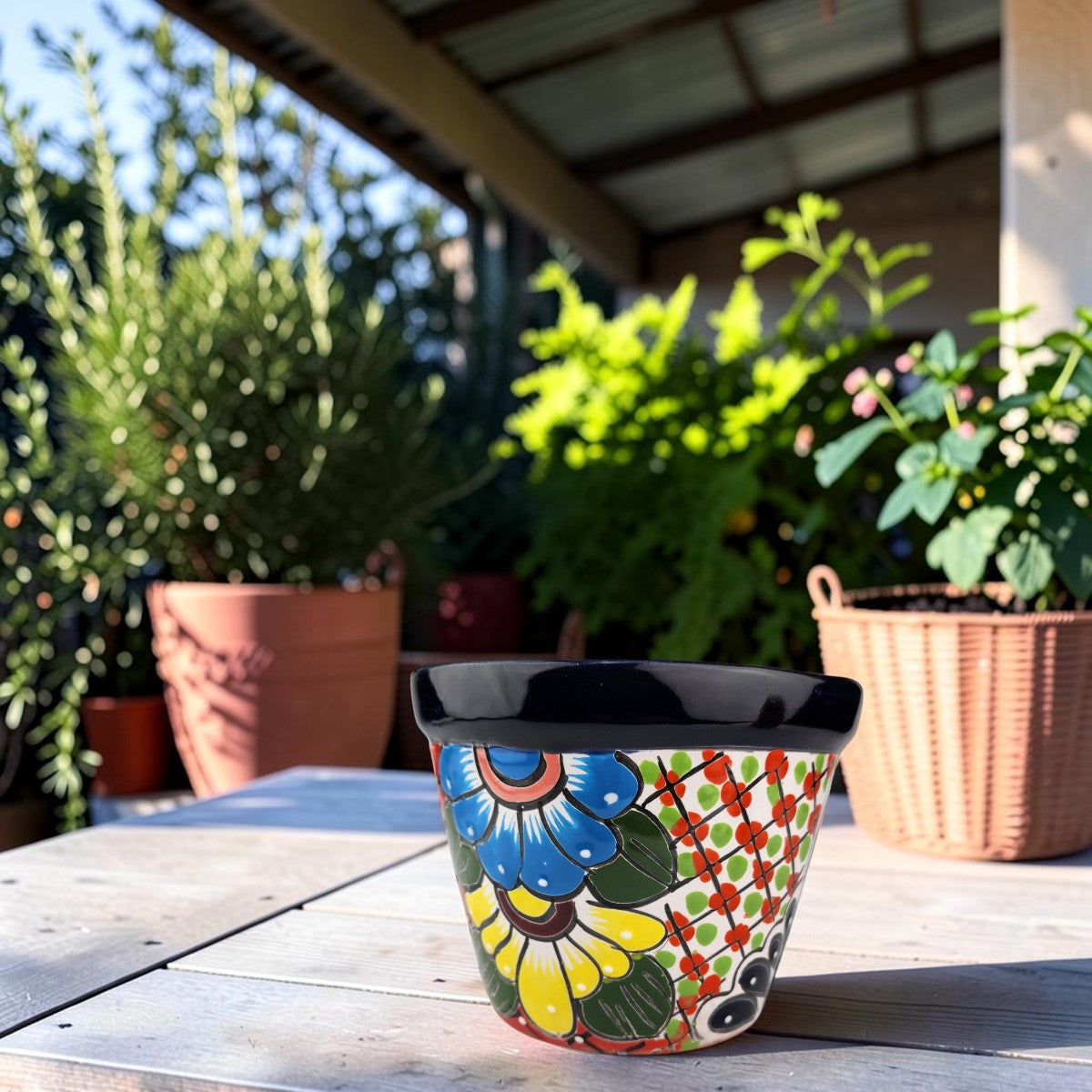 A colorful hand-painted ceramic planter pot with a black rim sits on a wooden table on a sunny patio, with potted plants in the background.