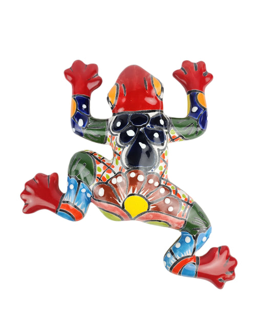 Colorful ceramic frog wall art on a white background