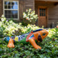 Colorful orange iguana