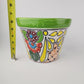 Green Rim Talavera Ceramic Planter 8" | Decorative Garden Planter