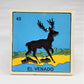 Nature, Home & Harvest Lotería Coaster Bundle (6-Piece)