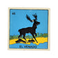The Animals Collection – 6-Piece Lotería Tile Bundle