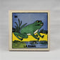 The Coast Collection – 12-Piece Lotería Tile Bundle