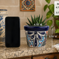 A decorative ceramic planter with a small succulent, shown on a kitchen countertop next to a smartphone for scale, with overlaid size text reading 4.75" W x 3.