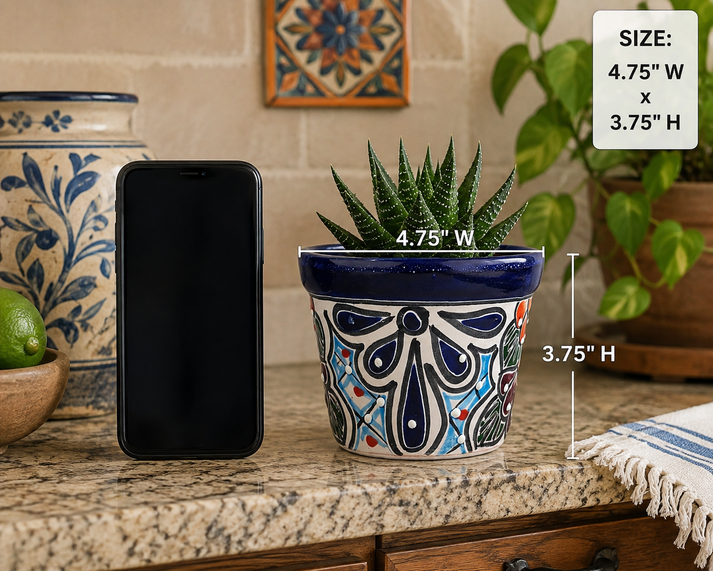 A decorative ceramic planter with a small succulent, shown on a kitchen countertop next to a smartphone for scale, with overlaid size text reading 4.75" W x 3.