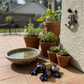 Decorative frog and gecko figurines near potted plants on a patio