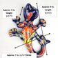 Blue Talavera Salamander – Hand-Painted Garden Wall Decor