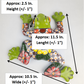 Hand-Painted Talavera Frog – Green Wall Art