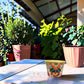 Yellow rim Talavera-style ceramic planter with colorful floral artwork displayed on a covered patio table