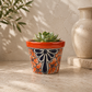 Red orange rim ceramic planter with orange and deep blue floral artwork holding a succulent on a stone surface beside a cream vase.
