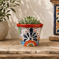 Red orange rim floral ceramic planter holding a succulent on a stone-topped table beside neutral pottery and framed decorative tile artwork.
