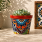 Red rim floral ceramic planter holding a succulent on a textured stone surface beside a potted tree and framed decorative tile artwork.
