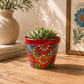 Red rim floral ceramic planter holding a succulent on a wooden table beside stacked books, a speckled vase, and framed botanical artwork.
