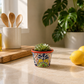 Red rim ceramic planter with blue, yellow, and green artwork holding a succulent on a sunlit kitchen counter beside lemons.