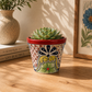 Red rim ceramic planter holding a succulent on a wooden table beside stacked books, a speckled vase with leafy branches, and botanical artwork.
