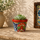 Red rim floral ceramic planter holding a succulent on a textured stone surface beside a leafy plant and framed decorative tiles.
