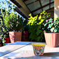 Yellow rim Talavera-style ceramic planter with colorful floral design displayed on a covered patio table