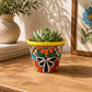 Yellow rim floral ceramic planter holding a succulent on a wooden table beside stacked books, a pottery vase, and framed botanical artwork.
