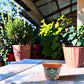 Red orange rim Talavera-style ceramic planter displayed on a covered patio table