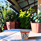 Red orange rim Talavera-style ceramic planter displayed on a covered patio table